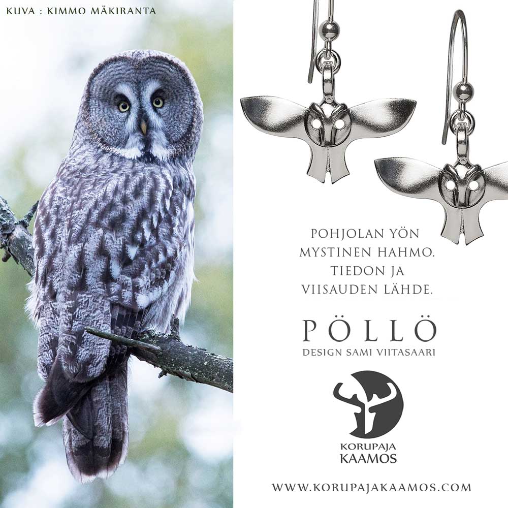 Pöllö-korut-korvakoru-hopea