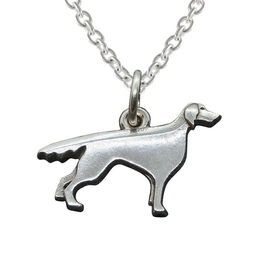 IRLANNINSETTERI KORU.